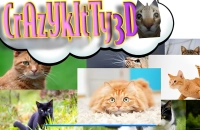 Crazy Kitty 3d game thumbnail